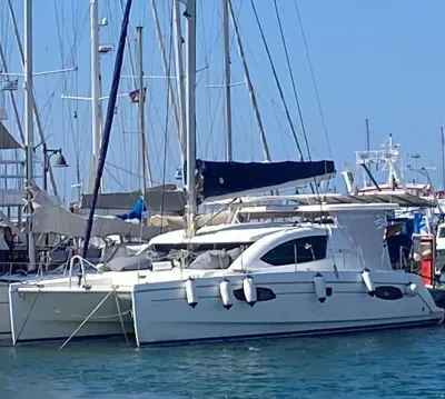 Leopard 38