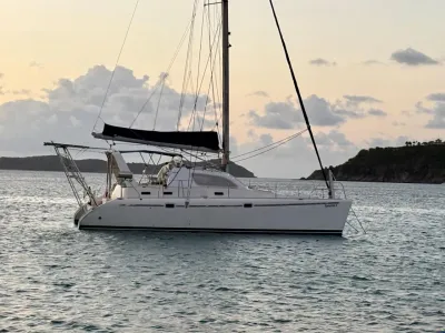 Leopard 38