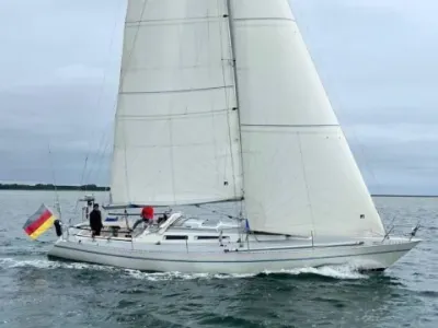 Luffe 44