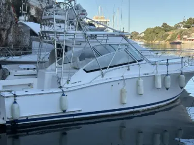 Luhrs 32