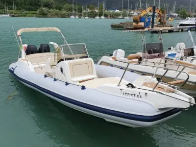 Marlin 26