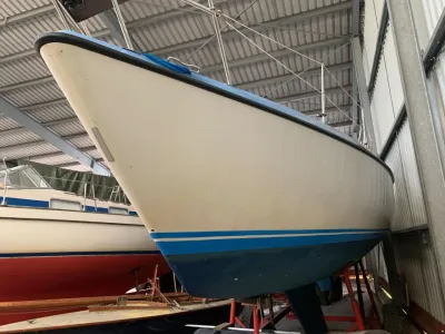 Maxi 95