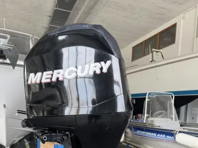 Mercury 100 PS