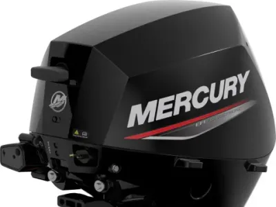 Mercury F 15 ELPT EFI