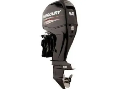 Mercury F 50 ELPT