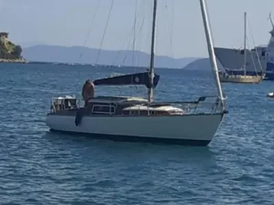 Miranda Feria 27
