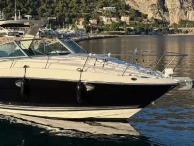 Monterey 295 Sport Cruiser