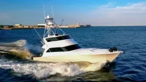 Never Settle 74' Viking 2007