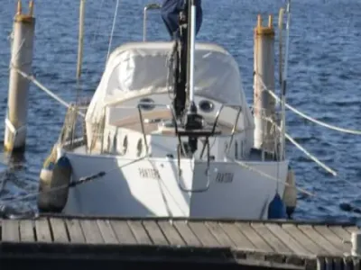 Nivoba Dogger SJ 33