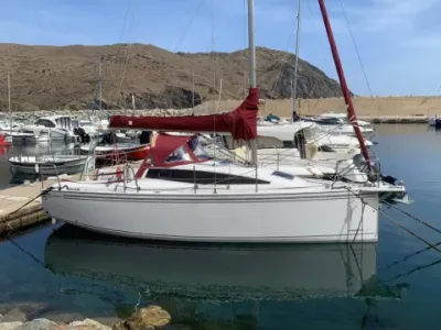 Northman MAXUS 26