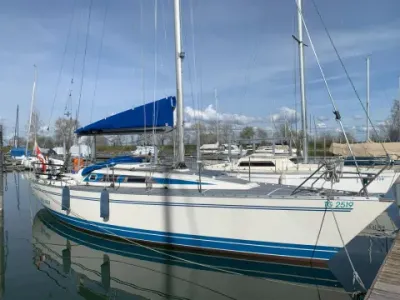 Olsen 34