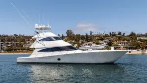 PARTY OF FIVE 80' Viking 2019