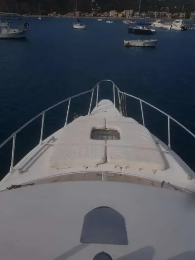 Piantoni Onda Azzurra