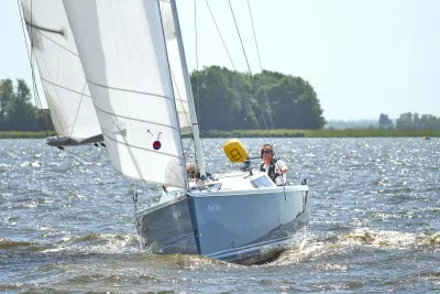 Pointer 25