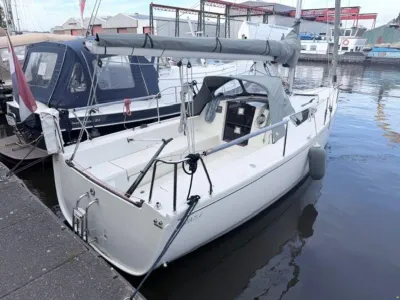 Pointer 25