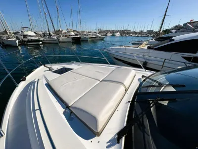 Princess 43