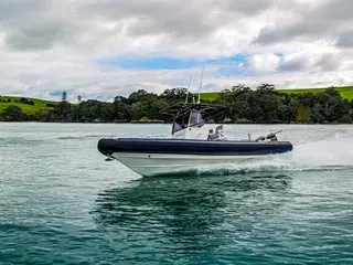 Protector 310 Chase