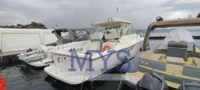 Pursuit 3800 Express