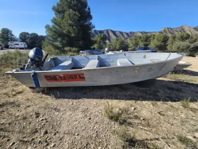 Quicksilver 1000