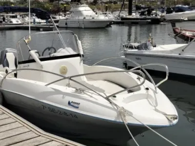 Quicksilver 555 Commander
