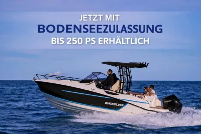 Quicksilver Activ 805 Open, bis 250PS & Trailer (