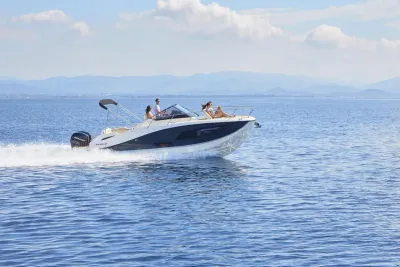 Quicksilver Activ 875 Sundeck
