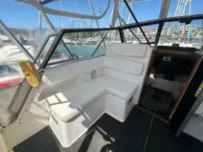 Rampage 31