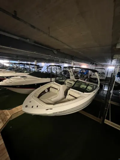 Regal LS2 Surf