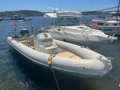 Ribeye S785