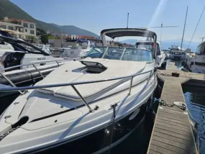 Rinker 260