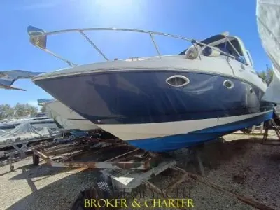 Rinker 260