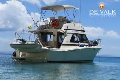 RIVIERA 33 FLYBRIDGE motor yacht for sale
