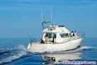 Rodman 1250