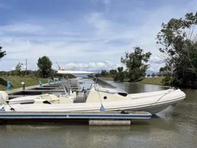 SACS Strider 11