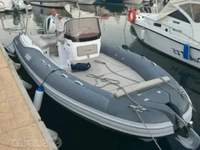 Salpa 23