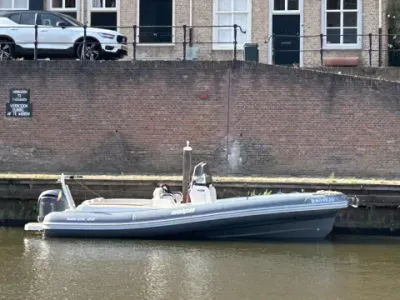 Salpa 26