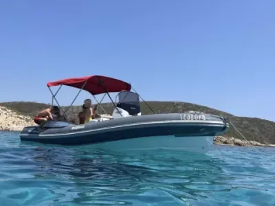 Salpa Soleil 20