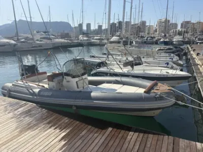 Salpa Soleil 23