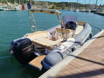 Salpa Soleil 23