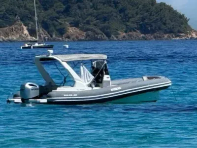 Salpa Soleil 26