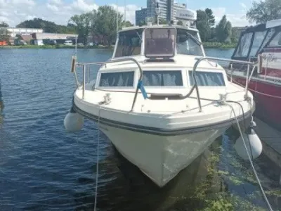 Saltö 31