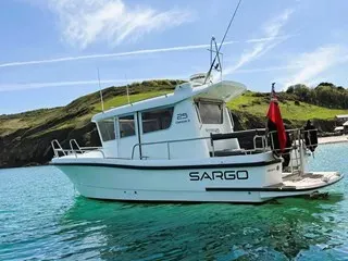 Sargo 25