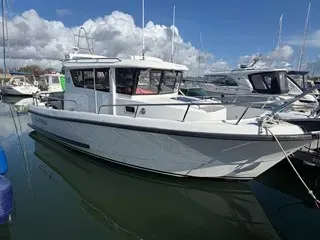 Sargo 28