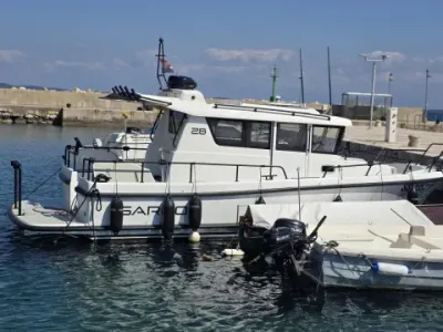 Sargo 28