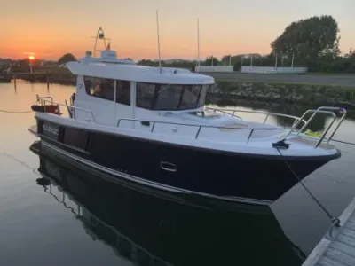 Sargo 31
