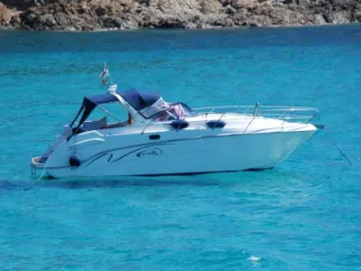 Saver 300 Sport