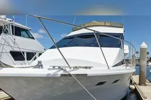 Scherzo 75' Custom 1989