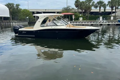 Scout 275 Dorado 2019