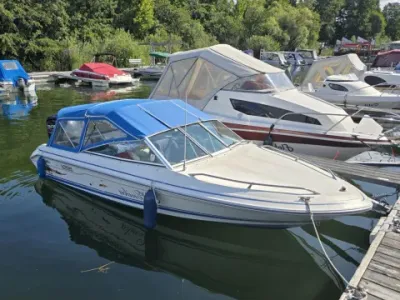 Sea Ray 160 BR