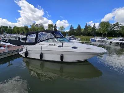 Sea Ray 240 Sundancer